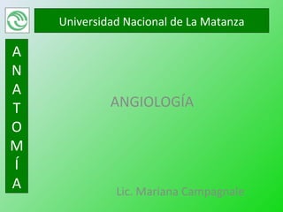 Universidad Nacional de La Matanza

A
N
A
T            ANGIOLOGÍA
O
M
Í
A             Lic. Mariana Campagnale
 