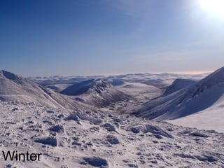 Winter 
 