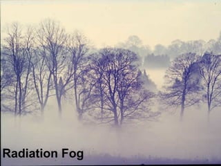 Radiation Fog 
 