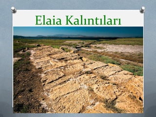 Elaia Kalıntıları
11
 
