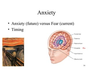 Anxiety
• Anxiety (future) versus Fear (current)
• Timing



                                           <-




                                           14
 