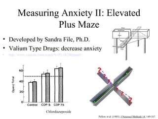Measuring Anxiety II: Elevated
                  Plus Maze
• Developed by Sandra File, Ph.D.
• Valium Type Drugs: decrease anxiety
•   http://www.youtube.com/watch?v=PLcX2MbpmdY




            ----------------------




                         Chlordiazepoxide
                                                 Pellow et al. (1985). J Neurosci Methods 14, 149-167.
 