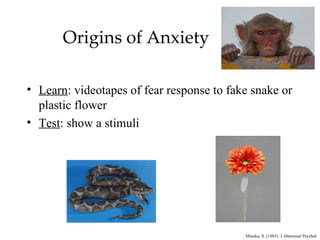 Origins of Anxiety

• Learn: videotapes of fear response to fake snake or
  plastic flower
• Test: show a stimuli




                                           Mineka, S. (1985). J Abnormal Psychol
 