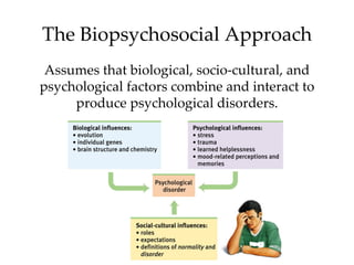 The Biopsychosocial Approach
 Assumes that biological, socio-cultural, and
psychological factors combine and interact to
     produce psychological disorders.
 
