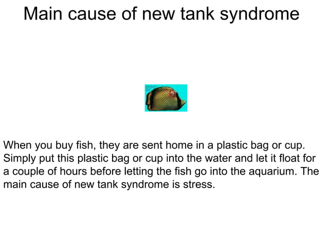 View of Aquarium Fish Diseases And The Treatments | PPT