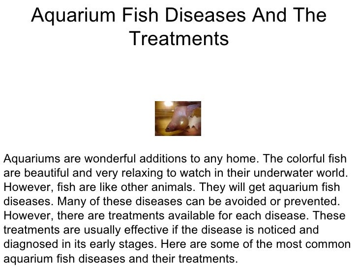 Aquarium Fish Diseases And The Treatments