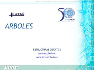 ARBOLES ESTRUCTURAS DE DATOS www.espol.edu.ec www.fiec.espol.edu.ec 