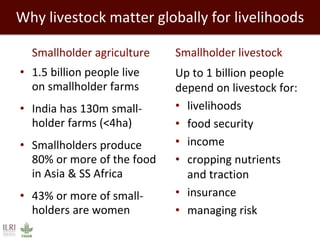 Livestock, livelihoods and the future of India’s smallholder farmers
