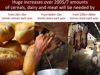 Livestock, livelihoods and the future of India’s smallholder farmers