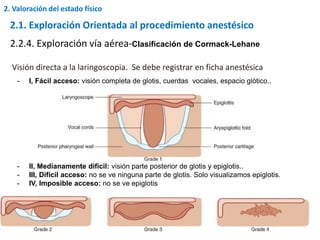 Visión directa a la laringoscopia. Se debe registrar en ficha anestésica
2.1. Exploración Orientada al procedimiento anestésico
2.2.4. Exploración vía aérea-Clasificación de Cormack-Lehane
- I, Fácil acceso: visión completa de glotis, cuerdas vocales, espacio glótico..
- II, Medianamente difícil: visión parte posterior de glotis y epiglotis..
- III, Difícil acceso: no se ve ninguna parte de glotis. Solo visualizamos epiglotis.
- IV, Imposible acceso: no se ve epiglotis
2. Valoración del estado físico
 