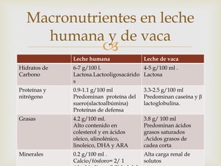 Macronutrientes en leche 
humana y de vaca 
 
Leche humana Leche de vaca 
Hidratos de 
Carbono 
6-7 g/100 l. 
Lactosa.Lactooligosacárido 
s 
4-5 g/100 ml . 
Lactosa 
Proteínas y 
nitrógeno 
0.9-1.1 g/100 ml 
Predominan proteína del 
suero(αlactoalbúmina) 
Proteínas de defensa 
3.3-2.5 g/100 ml 
Predominan caseína y β 
lactoglobulina. 
Grasas 4.2 g/100 ml. 
Alto contenido en 
colesterol y en ácidos 
oleico, αlinolénico, 
linoleico, DHA y ARA 
3.8 g/ 100 ml 
Predominan ácidos 
grasos saturados 
.Acidos grasos de 
cadea corta 
Minerales 0.2 g/100 ml . 
Calcio/fósforo= 2/ 1 
Alta biodisponibilidad del 
Alta carga renal de 
solutos 
 