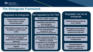 The Biologicals Framework
Regulated as biologicals
Tissue-based products
(skin, bone, ocular,
cardiovascular)
Cell-based products (T cell
therapies, human stem
cells)
Combined cell and tissue
products (collagen
matrices for localised cell
delivery)
Living animal cells, tissues,
organs
(xenotransplantation)
Not regulated by the TGA
Fresh viable organs
Assisted reproductive
technologies
(in vitro fertilisation)
Fresh haematopoietic
progenitor cells
(bone marrow transplants)
Cells and tissues made in
an accredited hospital, by a
medical or dental
practitioner, for autologous
use in a single patient
under the care of that
medical practitioner
Regulated, but not as
biologicals
Animal tissue products
(non-viable)
Biological prescription
medicines (vaccines,
plasma derivatives)
Labile blood and blood
components
Haematopoietic
progenitor cells (non-
fresh transplants) 29
 