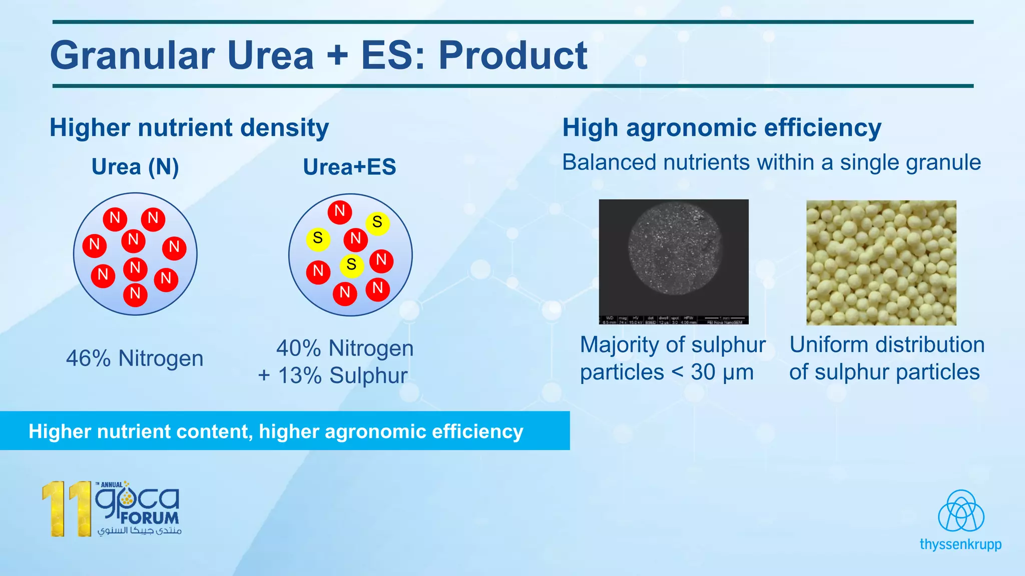 Granular Urea + ES: Product
Higher nutrient density High agronomic efficiency
Balanced nutrients within a single granule
Higher nutrient content, higher agronomic efficiency
Majority of sulphur
particles < 30 µm
Uniform distribution
of sulphur particles
Urea (N) Urea+ES
46% Nitrogen 40% Nitrogen
+ 13% Sulphur
N
N
N
S
N
NN
S
S
N
N
NN
NN
N
N
N
 