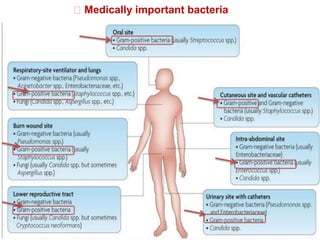 Medically important bacteria
 