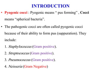 • Pyogenic cocci : Pyogenic means “ pus forming” , Cocci
means “spherical bacteria”.
• The pathogenic cocci are often called pyogenic cocci
because of their ability to form pus (suppuration). They
include:
1. Staphylococcus (Gram positive).
2. Streptococcus (Gram positive).
3. Pneumococcus (Gram positive).
4. Neisseria (Gram Negative)
INTRODUCTION
 