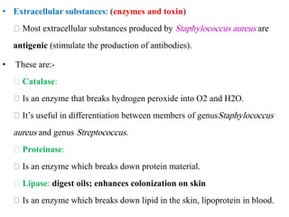 • Extracellular substances: (enzymes and toxin)
Most extracellular substances produced by Staphylococcus aureus are
antigenic (stimulate the production of antibodies).
• These are:-
Catalase:
Is an enzyme that breaks hydrogen peroxide into O2 and H2O.
It’s useful in differentiation between members of genusStaphylococcus
aureus and genus Streptococcus.
Proteinase:
Is an enzyme which breaks down protein material.
Lipase: digest oils; enhances colonization on skin
Is an enzyme which breaks down lipid in the skin, lipoprotein in blood.
 