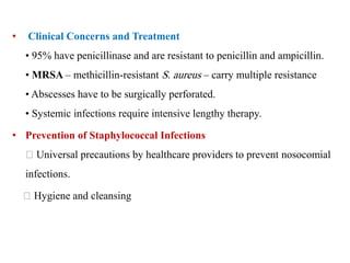 • Clinical Concerns and Treatment
• 95% have penicillinase and are resistant to penicillin and ampicillin.
• MRSA – methicillin-resistant S. aureus – carry multiple resistance
• Abscesses have to be surgically perforated.
• Systemic infections require intensive lengthy therapy.
• Prevention of Staphylococcal Infections
Universal precautions by healthcare providers to prevent nosocomial
infections.
Hygiene and cleansing
 