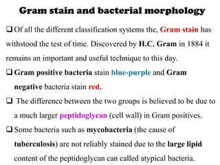 Gram stain and bacterial morphology
Of all the different classification systems the, Gram stain has
withstood the test of time. Discovered by H.C. Gram in 1884 it
remains an important and useful technique to this day.
Gram positive bacteria stain blue-purple and Gram
negative bacteria stain red.
 The difference between the two groups is believed to be due to
a much larger peptidoglycan (cell wall) in Gram positives.
Some bacteria such as mycobacteria (the cause of
tuberculosis) are not reliably stained due to the large lipid
content of the peptidoglycan can called atypical bacteria.
 