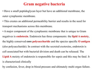 Gram negative bacteria
• Have a small peptidoglycan layer but have an additional membrane, the
outer cytoplasmic membrane.
• This creates an additional permeability barrier and results in the need for
transport mechanisms across this membrane.
• A major component of the cytoplasmic membrane that is unique to Gram
negatives is endotoxin. Endotoxin has three components: the lipid A moiety,
the highly conserved core polysaccharide and the species specific O antigen
(also polysaccharide). In contrast with the secreted exotoxins, endotoxin is
cell associated but with bacterial division and death can be released. The
Lipid A moiety of endotoxin is responsible for sepsis and this may be fatal. It
is characterized clinically
by confusion, fever, drop in blood pressure and ultimately multi-organ failure.
 