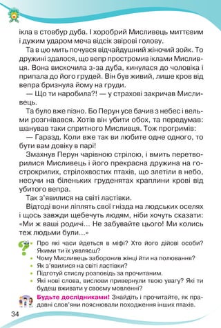 34
ікла в стовбур дуба. І хоробрий Мисливець миттєвим
і дужим ударом меча відсік звірові голову.
Та в цю мить почувся відчайдушний жіночий зойк. То
дружині здалося, що вепр простромив іклами Мислив-
ця. Вона вискочила з-за дуба, кинулася до чоловіка і
припала до його грудей. Він був живий, лише кров від
вепра бризнула йому на груди.
— Що ти наробила?! — у страхові закричав Мисли-
вець.
Та було вже пізно. Бо Перун усе бачив з небес і вель-
ми розгнівався. Хотів він убити обох, та передумав:
шанував таки спритного Мисливця. Тож прогримів:
— Гаразд. Коли вже так ви любите одне одного, то
бути вам довіку в парі!
Змахнув Перун чарівною стрілою, і вмить перетво-
рилися Мисливець і його прекрасна дружина на го-
строкрилих, стрілохвостих птахів, що злетіли в небо,
несучи на біленьких груденятах краплини крові від
убитого вепра.
Так з’явилися на світі ластівки.
Відтоді вони ліплять свої гнізда на людських оселях
і щось завжди щебечуть людям, ніби хочуть сказати:
«Ми ж ваші родичі… Не забувайте цього! Ми колись
теж людьми були…»
 Про які часи йдеться в міфі? Хто його дійові особи?
Якими ти їх уявляєш?
 Чому Мисливець заборонив жінці йти на полювання?
 Як з’явилися на світі ластівки?
 Підготуй стислу розповідь за прочитаним.
 Які нові слова, вислови привернули твою увагу? Які ти
будеш вживати у своєму мовленні?
 Будьте дослідниками! Знайдіть і прочитайте, як пра-
давні слов’яни пояснювали походження інших птахів.
 