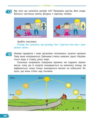 Від чого ще залежить розмір тіні? Проведіть дослід. Вам знадо-
бляться: настільна лампа; фігурка з картону; лінійка.
Зробіть висновки.
Розмір тіні залежить від розміру тіла і відстані між ним і дже-
релом світла.
Неживі предмети і живі організми поглинають сонячні промені.
Тому вони нагріваються. Гарячими стають каміння, ґрунт. Нагріва-
ється вода в ставку, річці, морі.
Сильніше нагрівають поверхню промені, які падають прямо-
висно, тому що їх енергія поширюється на невелику площу. Це
відбувається, якщо Сонце знаходиться високо на небосхилі. Ка-
жуть, що воно стоїть над головою.
Вечір
Захід День
Ранок
Схід
пРиРОда
60
 
