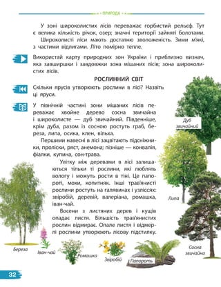 природа
У зоні широколистих лісів переважає горбистий рельєф. Тут
є  велика кількість річок, озер; значні території зайняті болотами.
Широколисті ліси мають достатню зволоженість. Зими м’які,
з  частими відлигами. Літо помірно тепле.
Використай карту природних зон України і приблизно визнач,
яка завширшки і завдовжки зона мішаних лісів; зона широколи-
стих лісів.
рослиННиЙ світ
Скільки ярусів утворюють рослини в лісі? Назвіть
ці яруси.
У північній частині зони мішаних лісів пе-
реважає хвойне дерево сосна звичайна
і  широколисте  — дуб звичайний. Південніше,
крім дуба, разом із сосною ростуть граб, бе-
реза, липа, осика, клен, вільха.
Першими навесні в лісі зацвітають підсніжни-
ки, проліски, ряст, анемона; пізніше — конвалія,
фіалки, купина, сон-трава.
Улітку між деревами в лісі залиша-
ються тільки ті рослини, які люблять
вологу і можуть рости в тіні. Це папо-
роті, мохи, копитняк. Інші трав’янисті
рослини ростуть на галявинах і узліссях:
звіробій, деревій, валеріана, ромашка,
іван-чай.
Восени з листяних дерев і кущів
опадає листя. Більшість трав’янистих
рослин відмирає. Опале листя і відмер-
лі рослини утворюють лісову підстилку.
Береза
Липа
Дуб
звичайний
Ромашка
Сосна
звичайна
Папороть
Звіробій
Іван-чай
32
 
