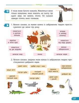 природа
У лісах живе багато кажанів. Живляться вони
тільки комахами, яких ловлять на льоту. Це
єдині звірі, які вміють літати. Усі кажани
завжди сплять вниз головою.
1. Визнач ознаки, за якими кожна із зображених тварин присто-
сувалася до зміни пір року.
змінює
забарвлення
линяє
запасає жир
ховається
під кору дерев
впадає
в зимову
сплячку
ховається
в дуплах
пеньків
запасає корм
відлітає
в теплі краї
ховається
на дні водойм
2. Визнач ознаки, завдяки яким кожна із зображених тварин при-
стосувалася добувати корм.
пружне
пір’я хвоста
довгі ноги
гострі зуби
добрі слух і нюх
довгі шия
і дзьоб
добрий зір
довгий
липкий язик
гострий
міцний дзьоб
сіро-зелене
забарвлення
гострі зуби
міцні кігті
37
 
