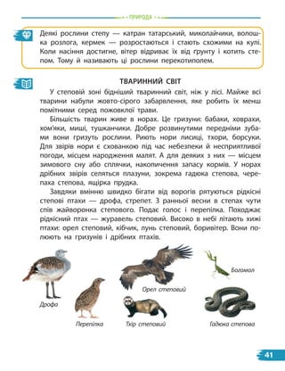 природа
Деякі рослини степу — катран татарський, миколайчики, волош-
ка розлога, кермек — розростаються і стають схожими на кулі.
Коли насіння достигне, вітер відриває їх від ґрунту і котить сте-
пом. Тому й називають ці рослини перекотиполем.
твариННиЙ світ
У степовій зоні бідніший тваринний світ, ніж у лісі. Майже всі
тварини набули жовто-сірого забарвлення, яке робить їх менш
помітними серед пожовклої трави.
Більшість тварин живе в норах. Це гризуни: бабаки, ховрахи,
хом’яки, миші, тушканчики. Добре розвинутими передніми зуба-
ми вони гризуть рослини. Риють нори лисиці, тхори, борсуки.
Для звірів нори є схованкою під час небезпеки й несприятливої
погоди, місцем народження малят. А для деяких з них — місцем
зимового сну або сплячки, накопичення запасу кормів. У норах
дрібних звірів селяться плазуни, зокрема гадюка степова, чере-
паха степова, ящірка прудка.
Завдяки вмінню швидко бігати від ворогів рятуються рідкісні
степові птахи — дрофа, стрепет. З ранньої весни в степах чути
спів жайворонка степового. Подає голос і перепілка. Походжає
рідкісний птах — журавель степовий. Високо в небі літають хижі
птахи: орел степовий, кібчик, лунь степовий, боривітер. Вони по-
люють на гризунів і дрібних птахів.
Дрофа
Тхір степовий
Перепілка
Богомол
Гадюка степова
Орел степовий
41
 