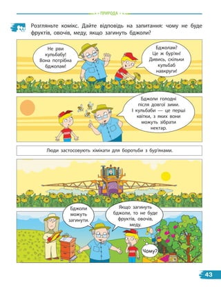 природа
Розгляньте комікс. Дайте відповідь на запитання: чому не буде
фруктів, овочів, меду, якщо загинуть бджоли?
Чому?
Не рви
кульбабу!
Вона потрібна
бджолам!
Бджолам?
Це ж бур’ян!
Дивись, скільки
кульбаб
навкруги!
Люди застосовують хімікати для боротьби з бур’янами.
Якщо загинуть
бджоли, то не буде
фруктів, овочів,
меду.
Бджоли
можуть
загинути.
Бджоли голодні
після довгої зими.
І кульбаби — це перші
квітки, з яких вони
можуть зібрати
нектар.
43
 