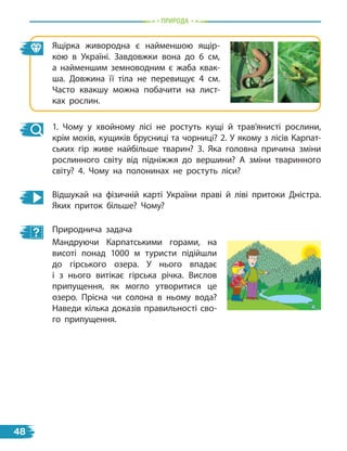 природа
1. Чому у хвойному лісі не ростуть кущі й трав’янисті рослини,
крім мохів, кущиків брусниці та чорниці? 2. У якому з лісів Карпат-
ських гір живе найбільше тварин? 3. Яка головна причина зміни
рослинного світу від підніжжя до вершини? А зміни тваринного
світу? 4. Чому на полонинах не ростуть ліси?
Відшукай на фізичній карті України праві й ліві притоки Дністра.
Яких приток більше? Чому?
Природнича задача
Мандруючи Карпатськими горами, на
висоті понад 1000 м туристи підійшли
до гірського озера. У нього впадає
і  з  нього витікає гірська річка. Вислов
припущення, як могло утворитися це
озеро. Прісна чи солона в ньому вода?
Наведи кілька доказів правильності сво-
го припущення.
Ящірка живородна є найменшою ящір-
кою в  Україні. Завдовжки вона до 6 см,
а найменшим земноводним є жаба квак-
ша. Довжина її тіла не перевищує 4 см.
Часто квакшу можна побачити на лист-
ках рослин.
48
 