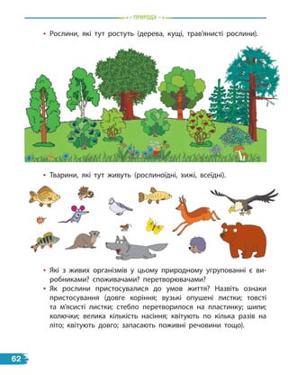 природа
• Рослини, які тут ростуть (дерева, кущі, трав’янисті рослини).
• Тварини, які тут живуть (рослиноїдні, хижі, всеїдні).
• Які з живих організмів у цьому природному угрупованні є ви-
робниками? споживачами? перетворювачами?
• Як рослини пристосувалися до умов життя? Назвіть ознаки
пристосування (довге коріння; вузькі опушені листки; товсті
та м’ясисті листки; стебло перетворилося на пластинку; шипи;
колючки; велика кількість насіння; квітують по кілька разів на
літо; квітують довго; запасають поживні речовини тощо).
62
 