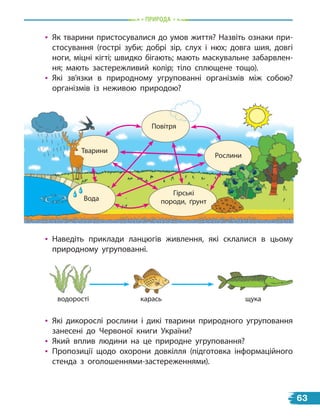 природа
Повітря
Гірські
породи, ґрунт
Рослини
Вода
Тварини
Тварини
• Як тварини пристосувалися до умов життя? Назвіть ознаки при-
стосування (гострі зуби; добрі зір, слух і нюх; довга шия, довгі
ноги, міцні кігті; швидко бігають; мають маскувальне забарвлен-
ня; мають застережливий колір; тіло сплющене тощо).
• Які зв’язки в природному угрупованні організмів між собою?
організмів із неживою природою?
• Наведіть приклади ланцюгів живлення, які склалися в цьому
природному угрупованні.
• Які дикорослі рослини і дикі тварини природного угруповання
занесені до Червоної книги України?
• Який вплив людини на це природне угруповання?
• Пропозиції щодо охорони довкілля (підготовка інформаційного
стенда з оголошеннями-застереженнями).
водорості карась щука
63
 