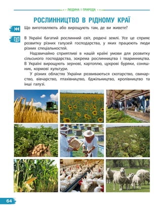 Що виготовляють або вирощують там, де ви живете?
В Україні багатий рослинний світ, родючі землі. Усе це сприяє
розвитку різних галузей господарства, у яких працюють люди
різних спеціальностей.
Надзвичайно сприятливі в нашій країні умови для розвитку
сільського господарства, зокрема рослинництва і тваринництва.
В Україні вирощують зернові, картоплю, цукрові буряки, соняш-
ник, кормові культури.
У різних областях України розвиваються скотарство, свинар-
ство, вівчарство, птахівництво, бджільництво, кролівництво та
інші галузі.
Рослинництво в рідному краї
Людина i природа
64
 