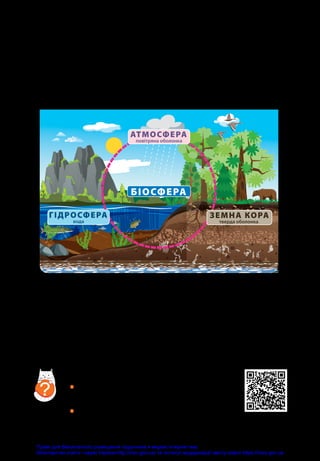 119
Що таке біосфера
Біосфера — це місце, де живуть усі живі організми: люди,
тварини, рослини, гриби і бактерії. Біосфера Землі охоплює
нижню частину атмосфери, усю гідросферу та верхню
частину земної кори.
БІОСФЕРА
АТМОСФЕРА
повітряна оболонка
ГІДРОСФЕРА
вода
ЗЕМНА КОРА
тверда оболонка
Живі й неживі елементи біосфери взаємодіють між собою.
Життя на планеті виникло лише тоді, коли її поверхня
достатньо охолола і на ній з’явилася вода. Первісний океан
і земна атмосфера наповнилися киснем завдяки першим
мікроорганізмам. А на сушу життя вийшло лише тоді, коли
в атмосфері утворився захисний озоновий шар.
Подивіться відео про біосферу.
•	 Сформулюйте по одному запитанню
до цього відео.
•	 Об’єднайтесь у пари й обговоріть відпо­
віді на ваші запитання.
?
Право для безоплатного розміщення підручника в мережі Інтернет має
Міністерство освіти і науки України http://mon.gov.ua/ та Інститут модернізації змісту освіти https://imzo.gov.ua
 