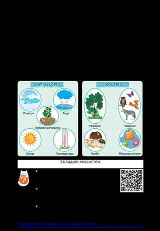 120
екосистеми та їхні складові
Із давньогрецької мови слово «еко» перекладається як
житло, дім. Тому кожну екосистему можна розглядати як
територію, що є домом для спільноти організмів, які в ній
живуть.
Екосистеми бувають великими, як-от пустеля Сахара, або
маленькими, як-от трухлявий пеньок. Будь-яка екосистема
складається з живих і неживих об’єктів. Розгляньте схему
та назвіть приклади живих і неживих складових екосистем.
•	 Подивіться відео про екосистеми. Об­
говоріть, як іще називають живі та не­
живі об’єкти екосистем.
•	 Під час прогулянки розгляньте малі
екосистеми (трухлявий пеньок,
мурашник, сад, ставок...).
•	 Завантажте за QR-кодом бланк для опису екосис­
тем і заповніть його.
?
Складові екосистем
Сонце
Поживні речовини
Повітря Вода
0
10
20
30
40
50
0
10
20
30
40
50
Температура
Рослини
Гриби Мікроорганізми
Тварини
Право для безоплатного розміщення підручника в мережі Інтернет має
Міністерство освіти і науки України http://mon.gov.ua/ та Інститут модернізації змісту освіти https://imzo.gov.ua
 