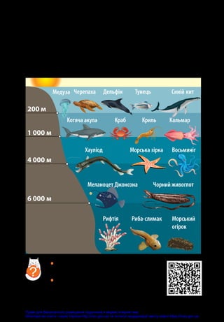 140
мешканці океанів
Океанічна екосистема — найбільша на Землі. Залежно
від глибини й кількості світла океанічні води поділяють
на різні шари. Розгляньте малюнок і назвіть мешканців різ-
них океанічних глибин.
•	 Подивіться відео про океанічні гли-
бини.
•	 За допомогою карток дослідіть, як де­
які морські мешканці адаптувалися
до життя на різних глибинах.
?
6 000 м
4 000 м
1 000 м
200 м
Черепаха Дельфін Тунець Синій кит
Кальмар
Морська зірка
Хауліод Восьминіг
Чорний живоглот
Меланоцет Джонсона
Рифтія Риба-слимак Морський
огірок
Криль
Краб
Котяча акула
Медуза
Право для безоплатного розміщення підручника в мережі Інтернет має
Міністерство освіти і науки України http://mon.gov.ua/ та Інститут модернізації змісту освіти https://imzo.gov.ua
 