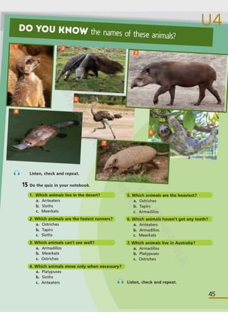 Підручник Англійська мова 6 клас А. Уолкер, Н. Левіс, О. Любченко 2023 6 рік навчання