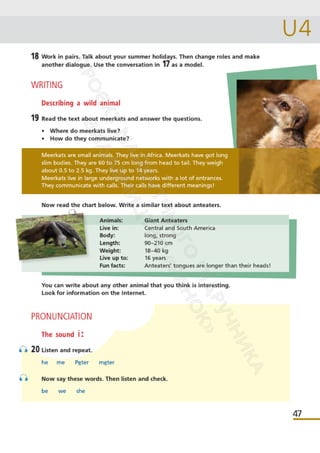 Підручник Англійська мова 6 клас А. Уолкер, Н. Левіс, О. Любченко 2023 6 рік навчання