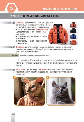 234
ÌÎÐÔÎËÎÃ²ß. ÏÐÈÊÌÅÒÍÈÊ
5
Îïèøè çîáðàæåíó êóðòêó òðüîìà
ðå÷åííÿìè, âèêîðèñòîâóþ÷è ÿê³ñí³,
â³äíîñí³ òà ïðèñâ³éí³ ïðèêìåòíèêè.
Ó ïåðøîìó ðå÷åíí³ âèêîðèñòàé
ùîíàéìåíøå òðè ÿê³ñí³ ïðè-
êìåòíèêè.
Ó äðóãîìó — äâà â³äíîñí³ ïðè-
êìåòíèêè.
Ó òðåòüîìó — îäèí ïðèñâ³éíèé
ïðèêìåòíèê.
Äîáåðè äî ñëîâîñïîëó÷åíü ñèíîí³ì³÷í³ ïàðè ç ïðèêìåò-
íèêàìè çà çðàçêîì. Äî ÿêî¿ ãðóïè çà çíà÷åííÿì íàëåæàòü
óòâîðåí³ ïðèêìåòíèêè?
Будинок у Парижі, перстень з алюмінію, розклад на
щодень, регіон Карпат, келих із кришталю, фестиваль
пісні.
Ðîçãëÿíü ôîòîãðàô³¿. Îïèøè òâàðèí, âèêîðèñòîâóþ÷è
ïðèêìåòíèêè ó ôîðì³ âèùîãî òà íàéâèùîãî ñòóïåí³â ïî-
ð³âíÿííÿ.
А Б
²äå¿ ïåäàãîã³â — ïåäàãîã³÷í³ ³äå¿.
Çðàçîê
433
432
434
ÓÐÎÊ 81. ÏÐÈÊÌÅÒÍÈÊ. ÓÇÀÃÀËÜÍÅÍÍß
çîáðàæåíó êóðòêó òðüîìà
ïðèñâ³éí³ ïðèêìåòíèêè.
 