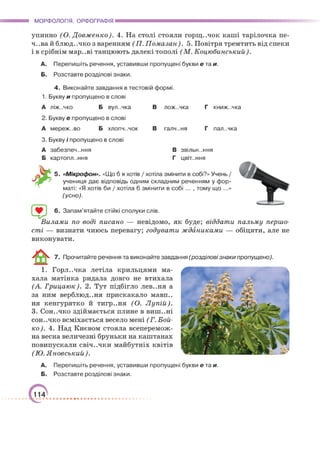 Підручник Українська мова 6 клас О. М. Авраменко, З. Р. Тищенко 2023 