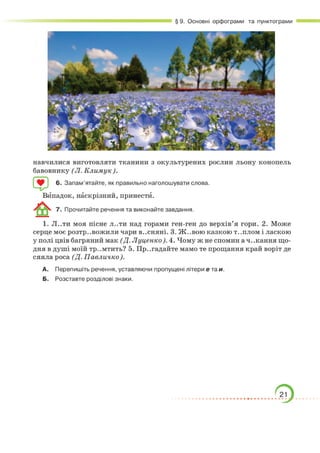 Підручник Українська мова 6 клас О. М. Авраменко, З. Р. Тищенко 2023 