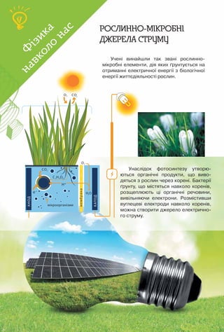 174
Рослинно-мікробні
джерела струму
Учені винайшли так звані рослинно-	
мікробні елементи, дія яких ґрунтується на
отриманні електричної енергії з біологічної
енергії життєдіяльності рослин.
Унаслідок фотосинтезу утворю-
ються органічні продукти, що виво-
дяться з рослин через корені. Бактерії
ґрунту, що містяться навколо коренів,
розщеплюють ці органічні речовини,
вивільняючи електрони. Розмістивши
вуглецеві електроди навколо коренів,
можна створити джерело електрично-
го струму.
Ф
ізика
навколо
нас
Ф
ізика
навколо
нас
 