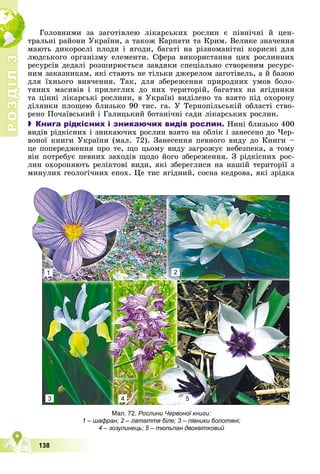 Р
О
З
Д
І
Л
Р
О
З
Д
І
Л
3
3
138
Ãîëîâíèìè çà çàãîòіâëåþ ëіêàðñüêèõ ðîñëèí є ïіâíі÷íі é öåí-
òðàëüíі ðàéîíè Óêðàїíè, à òàêîæ Êàðïàòè òà Êðèì. Âåëèêå çíà÷åííÿ
ìàþòü äèêîðîñëі ïëîäè і ÿãîäè, áàãàòі íà ðіçíîìàíіòíі êîðèñíі äëÿ
ëþäñüêîãî îðãàíіçìó åëåìåíòè. Ñôåðà âèêîðèñòàííÿ öèõ ðîñëèííèõ
ðåñóðñіâ äåäàëі ðîçøèðþєòüñÿ çàâäÿêè ñïåöіàëüíî ñòâîðåíèì ðåñóðñ-
íèì çàêàçíèêàì, ÿêі ñòàþòü íå òіëüêè äæåðåëîì çàãîòіâåëü, à é áàçîþ
äëÿ їõíüîãî âèâ÷åííÿ. Òàê, äëÿ çáåðåæåííÿ ïðèðîäíèõ óìîâ áîëî-
òÿíèõ ìàñèâіâ і ïðèëåãëèõ äî íèõ òåðèòîðіé, áàãàòèõ íà ÿãіäíèêè
òà öіííі ëіêàðñüêі ðîñëèíè, â Óêðàїíі âèäіëåíî òà âçÿòî ïіä îõîðîíó
äіëÿíêè ïëîùåþ áëèçüêî 90 òèñ. ãà. Ó Òåðíîïіëüñüêіé îáëàñòі ñòâî-
ðåíî Ïî÷àїâñüêèé і Ãàëèöüêèé áîòàíі÷íі ñàäè ëіêàðñüêèõ ðîñëèí.
 Книга рідкісних і зникаючих видів рослин. Íèíі áëèçüêî 400
âèäіâ ðіäêіñíèõ і çíèêàþ÷èõ ðîñëèí âçÿòî íà îáëіê і çàíåñåíî äî ×åð-
âîíîї êíèãè Óêðàїíè (ìàë. 72). Çàíåñåííÿ ïåâíîãî âèäó äî Êíèãè –
öå ïîïåðåäæåííÿ ïðî òå, ùî öüîìó âèäó çàãðîæóє íåáåçïåêà, à òîìó
âіí ïîòðåáóє ïåâíèõ çàõîäіâ ùîäî éîãî çáåðåæåííÿ. Ç ðіäêіñíèõ ðîñ-
ëèí îõîðîíÿþòü ðåëіêòîâі âèäè, ÿêі çáåðåãëèñÿ íà íàøіé òåðèòîðії ç
ìèíóëèõ ãåîëîãі÷íèõ åïîõ. Öå òèñ ÿãіäíèé, ñîñíà êåäðîâà, ÿêі çðіäêà
Мал. 72. Рослини Червоної книги:
1 – шафран; 2 – латаття біле; 3 – півники болотяні;
4 – зозулинець; 5 – тюльпан двоквітковий
1
3
2
5
4
 
