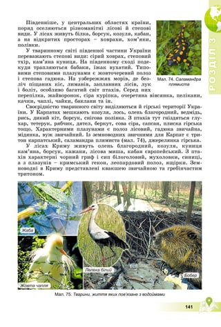 Р
О
З
Д
І
Л
Р
О
З
Д
І
Л
3
3
141
Ïіâäåííіøå, ó öåíòðàëüíèõ îáëàñòÿõ êðàїíè,
ïîðÿä îñåëÿþòüñÿ ðіçíîìàíіòíі ëіñîâі é ñòåïîâі
âèäè. Ó ëіñàõ æèâóòü áіëêà, áîðñóê, êîçóëÿ, êàáàí,
à íà âіäêðèòèõ ïðîñòîðàõ – õîâðàõè, õîì’ÿêè,
ïîëіâêè.
Ó òâàðèííîìó ñâіòі ïіâäåííîї ÷àñòèíè Óêðàїíè
ïåðåâàæàþòü ñòåïîâі âèäè: ñіðèé õîâðàõ, ñòåïîâèé
òõіð, êàì’ÿíà êóíèöÿ. Íà ïіâäåííîìó ñõîäі ïîäå-
êóäè òðàïëÿþòüñÿ áàáàêè, їæàê âóõàòèé. Òèïî-
âèìè ñòåïîâèìè ïëàçóíàìè є æîâòî÷åðåâèé ïîëîç
і ñòåïîâà ãàäþêà. Íà óçáåðåææÿõ ìîðіâ, äå áåç-
ëі÷ ïіùàíèõ êіñ, ëèìàíіâ, çàïëàâíèõ ëіñіâ, ëóê
і áîëіò, îñîáëèâî áàãàòèé ñâіò ïòàõіâ. Ñåðåä íèõ
ïåðåïіëêà, æàéâîðîíîê, ñіðà êóðіïêà, î÷åðåòÿíà âіâñÿíêà, ïåëіêàíè,
êà÷êè, ÷àïëі, ÷àéêè, áàêëàíè òà іí.
Ñâîєðіäíіñòþ òâàðèííîãî ñâіòó âèäіëÿþòüñÿ é ãіðñüêі òåðèòîðії Óêðà-
їíè. Ó Êàðïàòàõ ìåøêàþòü êîçóëÿ, ëîñü, îëåíü áëàãîðîäíèé, âåäìіäü,
ðèñü, äèêèé êіò, áîðñóê, ñíіãîâà ïîëіâêà. Ç ïòàõіâ òóò ãíіçäÿòüñÿ ãëó-
õàð, òåòåðóê, ðÿá÷èê, äÿòåë, áåðêóò, ñîâà ñіðà, ñàïñàí, ïëèñêà ãіðñüêà
òîùî. Õàðàêòåðíèìè ïëàçóíàìè є ïîëîç ëіñîâèé, ãàäþêà çâè÷àéíà,
ìіäÿíêà, âóæ çâè÷àéíèé. Іç çåìíîâîäíèõ çâè÷íèìè äëÿ Êàðïàò є òðè-
òîí êàðïàòñüêèé, ñàëàìàíäðà ïëÿìèñòà (ìàë. 74), äæåðåëÿíêà ãіðñüêà.
Ó ëіñàõ Êðèìó æèâóòü îëåíü áëàãîðîäíèé, êîçóëÿ, êóíèöÿ
êàì’ÿíà, áîðñóê, êàæàíè, ëіñîâà ìèøà, êàáàí єâðîïåéñüêèé. Ç ïòà-
õіâ õàðàêòåðíі ÷îðíèé ãðèô і ñèï áіëîãîëîâèé, ìóõîëîâêè, ñèíèöі,
à ç ïëàçóíіâ – êðèìñüêèé ãåêîí, ëåîïàðäîâèé ïîëîç, ÿùіðêè. Çåì-
íîâîäíі â Êðèìó ïðåäñòàâëåíі êâàêøåþ çâè÷àéíîþ òà ãðåáіí÷àñòèì
òðèòîíîì.
Мал. 75. Тварини, життя яких пов’язане з водоймами
Жаба
а
а
а
Жо
Жо
Жо
Жо
Ж
Ж
Жо
о
о
овт
вт
вт
вт
вта чапля
я
я
я
Бо
Бо
Бо
Бо
Бо
Бо
Бо
обе
бе
бе
бе
бе
бе
бер
р
р
р
р
р
Ле
Ле
Ле
Ле
Ле
Ле
еле
ле
ле
ле
е
л
лека
ка
ка
а
а
а б
б
б
б
б
б
біл
іл
іл
і
ілий
ий
й
ий
ий
й
ий
Мал. 74. Саламандра
плямиста
 