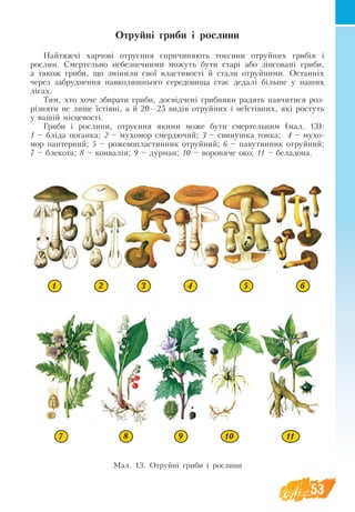 53
Отруйні гриби і рослини
Найтяжчі харчові отруєння спричиняють токсини отруйних грибів і
рослин. Смертельно небезпечними можуть бути старі або зіпсовані гриби,
а також гриби, що змінили свої властивості й стали отруйними. Останніх
через забруднення навколишнього середовища стає дедалі більше у наших
лісах.
Тим, хто хоче збирати гриби, досвідчені грибники радять навчитися роз-
різняти не лише їстівні, а й 20—25 видів отруйних і неїстівних, які ростуть
у вашій місцевості.
Гриби і рослини, отруєння якими може бути смертельним (мал. 13):
1 – блі­
да поганка; 2 – мухомор смердючий; 3 – свинушка тонка; 4 – мухо-
мор пантерний; 5 – рожевопластинник отруйний; 6 – павутинник отруйний;
7 – блекота; 8 – конвалія; 9 – дурман; 10 – вороняче око; 11 – беладона.
Ìàë. 13. Отруйні гриби і рослини
1 2 3 4 5 6
7 8 9 10 11
 