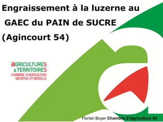 Florian Boyer Chambre d’Agriculture 54
Engraissement à la luzerne au
GAEC du PAIN de SUCRE
(Agincourt 54)
 
