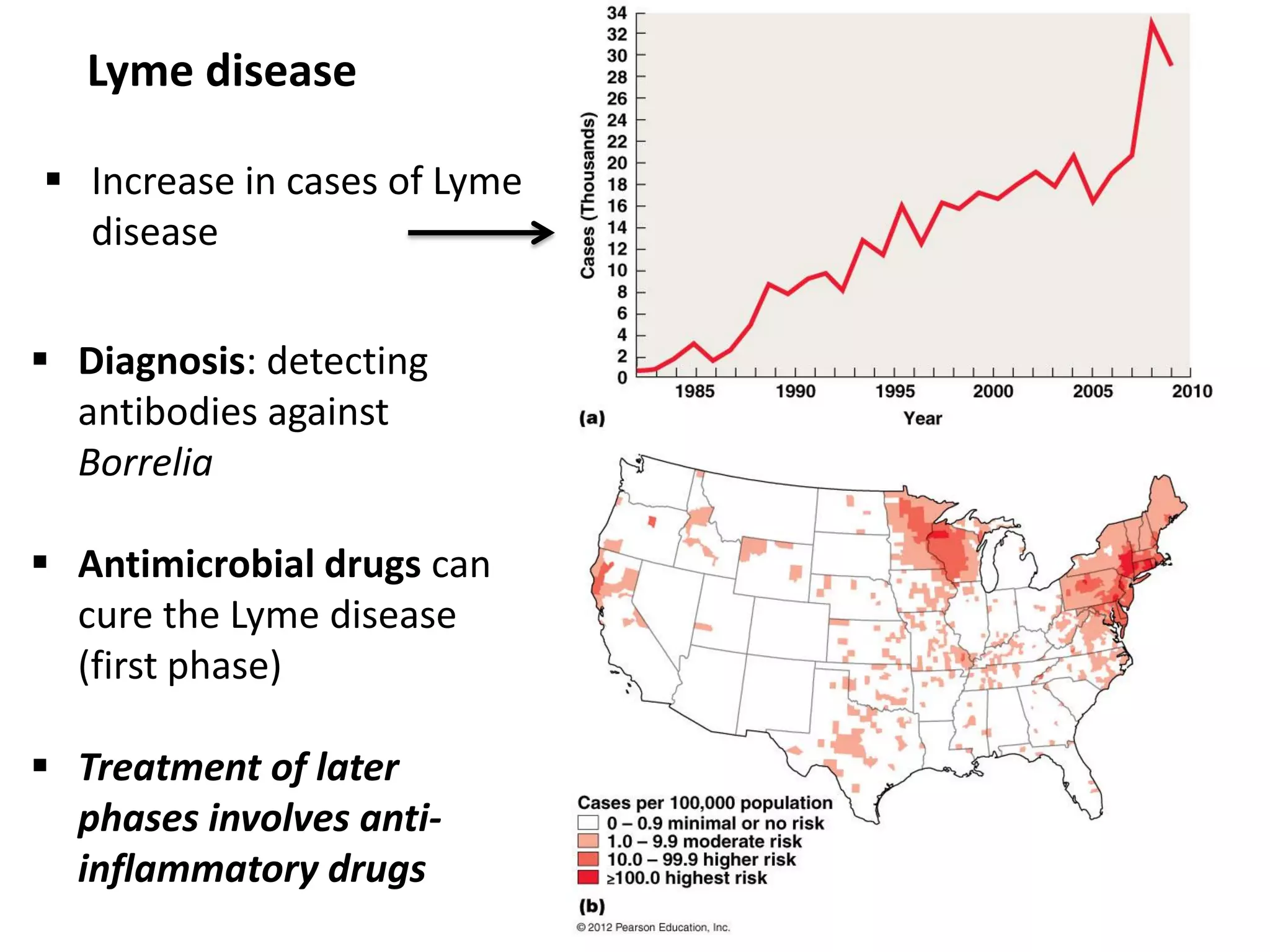 Lyme disease
 Increase in cases of Lyme
disease
 Diagnosis: detecting
antibodies against
Borrelia
 Antimicrobial drugs can
cure the Lyme disease
(first phase)
 Treatment of later
phases involves anti-
inflammatory drugs
 