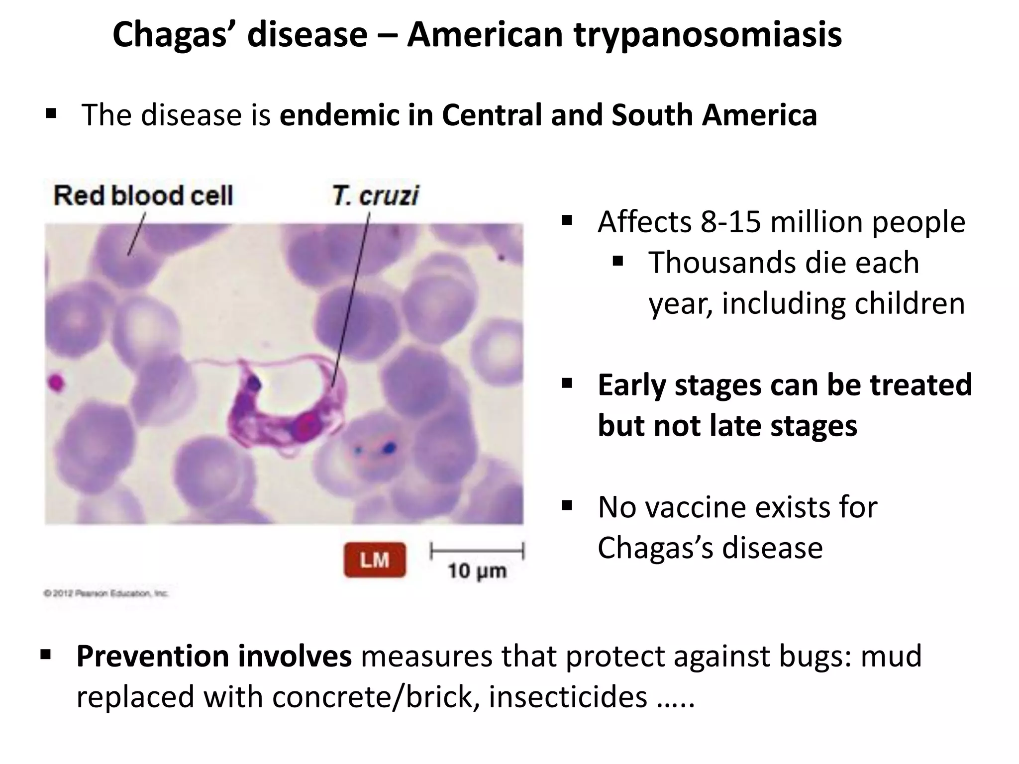 Chagas’ disease – American trypanosomiasis
 The disease is endemic in Central and South America
 Affects 8-15 million people
 Thousands die each
year, including children
 Early stages can be treated
but not late stages
 No vaccine exists for
Chagas’s disease
 Prevention involves measures that protect against bugs: mud
replaced with concrete/brick, insecticides …..
 