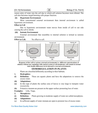 2nd Year Biology Notes by Taleemcity.com
