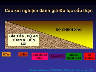 Cl
Inuline
Radio
Nuclide Cl
Clcre24h
Calculated
Clcr
SCre 1/Scr
ÑOÄ CHÍNH XAÙC
GÍA TIEÀN, ÑOÄ AN
TOØAN & TIEÄN
LÔÏI
Caùc xeùt nghieäm ñaùnh giaù Ñoõ loïc caàu thaän
Maddox & Brenner ( 2000),The Kidney,V.1,6th ed.,pp 1141
 